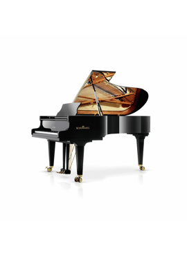 Schimmel K219 zwart hoogglans