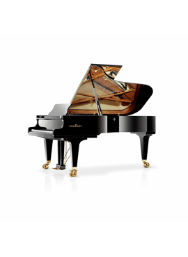 Schimmel K230 zwart hoogglans