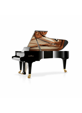 Schimmel K256 zwart hoogglans