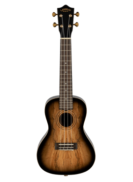 LANIKAI Concertukelele, Spalted Maple