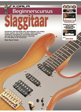 BEGINNERSCURSUS SLAGGITAAR