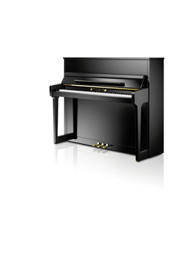 Wilhelm Schimmel W118 Tradition zwart hoogglans