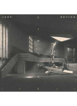 Joep Beving