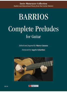 Complete preludes voor gitaar