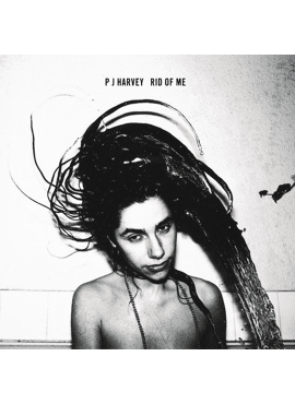 PJ Harvey