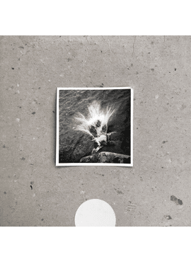 Nils Frahm 