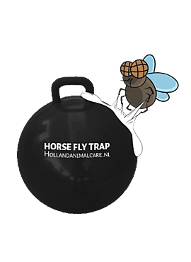 Horse Fly Trap Ball