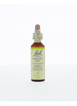 Bach chestnut bud 20ml