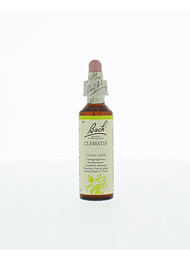 Bach clematis 20ml