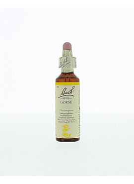 Bach gorse 20ml