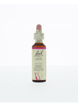 Bach larch 20ml