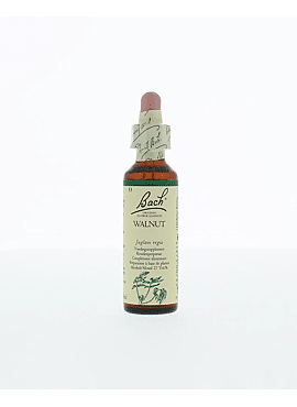 Bach walnut 20ml