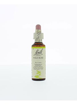 Bach wild rose 20ml