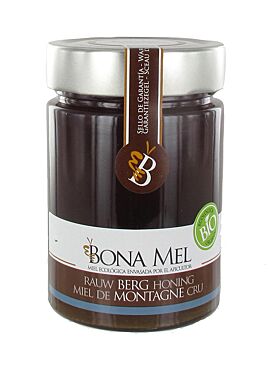 Bona Mel Berg honing rauw bio 450g  