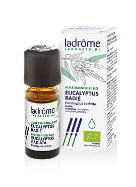Eucalyptus radiata bio 