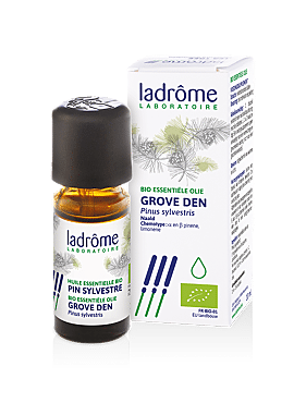Pinus sylvestris - Grove Den bio 10ml