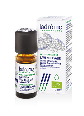 Salvia off. subsp. lavandulifolia – Lavendelsalie bio 10ml