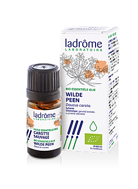 Daucus carota - Wilde peen bio 5ml