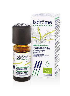 Cymbopogon martini var. motia - Palmarosa bio 10ml