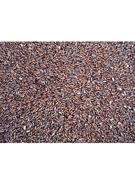 Vlozaad bruin 250g