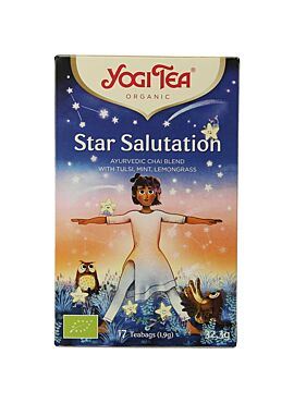 Yogi Star Salutation 17 b