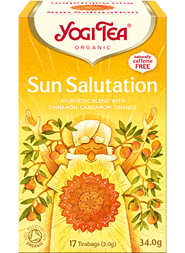 Yogi Sun Salutation 17b