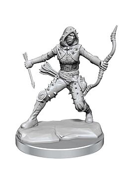  Human Rogue Female