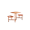 Roodbruin