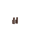 NoColour
