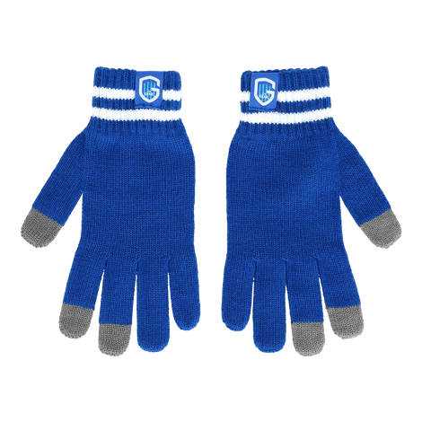 Gloves - touchscreen (adult)