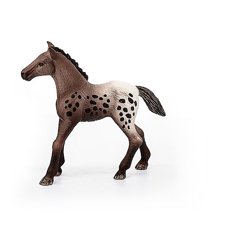 Schleich Appaloosa Foal