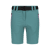 appelblauwzeegroen