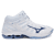 Wit-Blauw