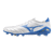 Wit-Blauw