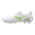 Wit-groen