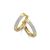 18 Karaat Bicolour Goud