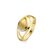 18 Karaat Geel Goud