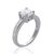 Zilver Wit