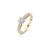 14 Karaat Bicolour Goud