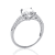 Zilver Wit