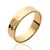 Zilver Geel