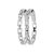 Zilver Wit