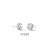 Zilver Wit