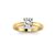 18 Karaat Bicolour Goud