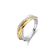 Zilver Geel