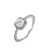 Zilver Wit