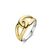 Zilver Geel