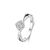 Zilver Wit