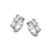 Zilver Wit