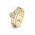 18 Karaat Geel Goud